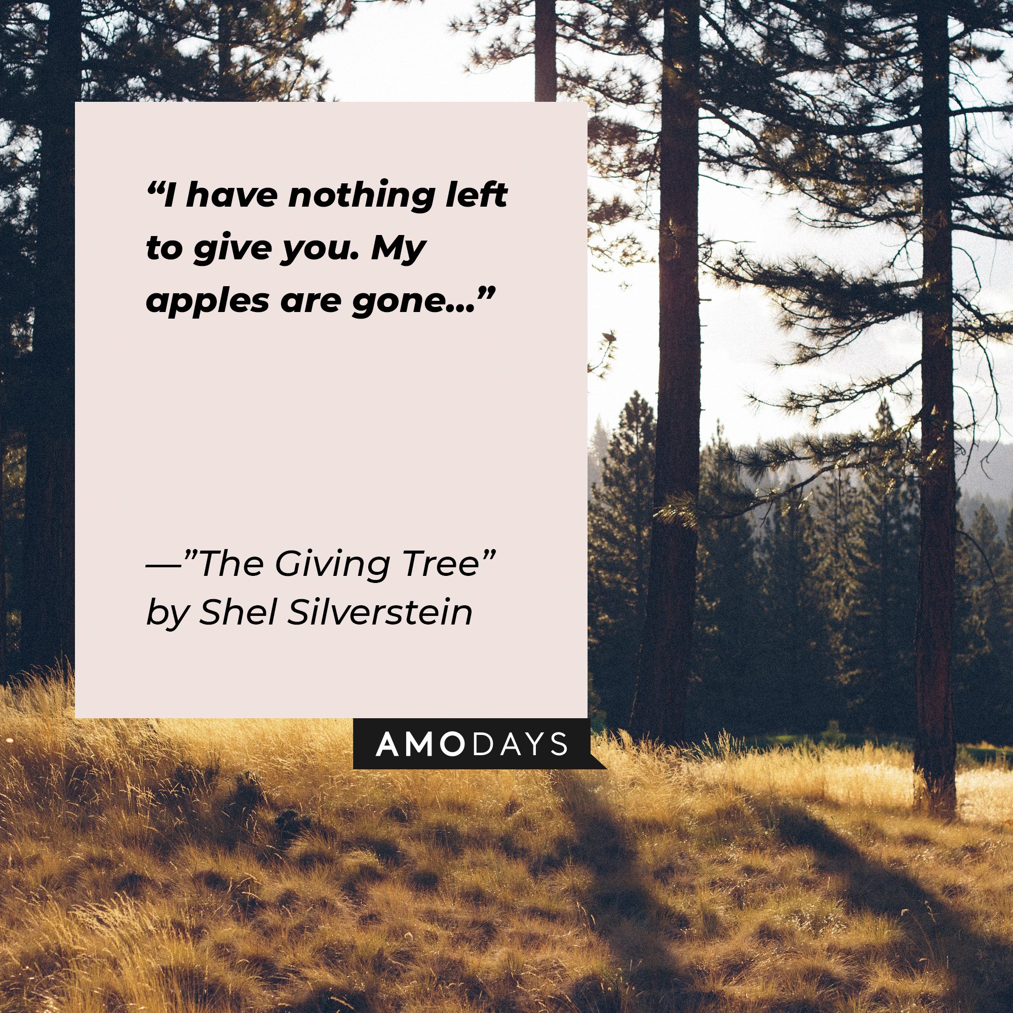 Quotes from Shel Silverstein’s "Giving Tree”: "I have nothing left to give you. My apples are gone… " | Image: AmoDays