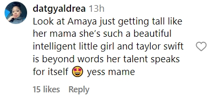 A fan's comment on a post by Mariska Hargitay of her and her daughter, Amaya Hermann, at a Taylor Swift concert at her Eras Tour in Los Angeles on August 6, 2023 | Source: Instagram/therealmariskahargitay