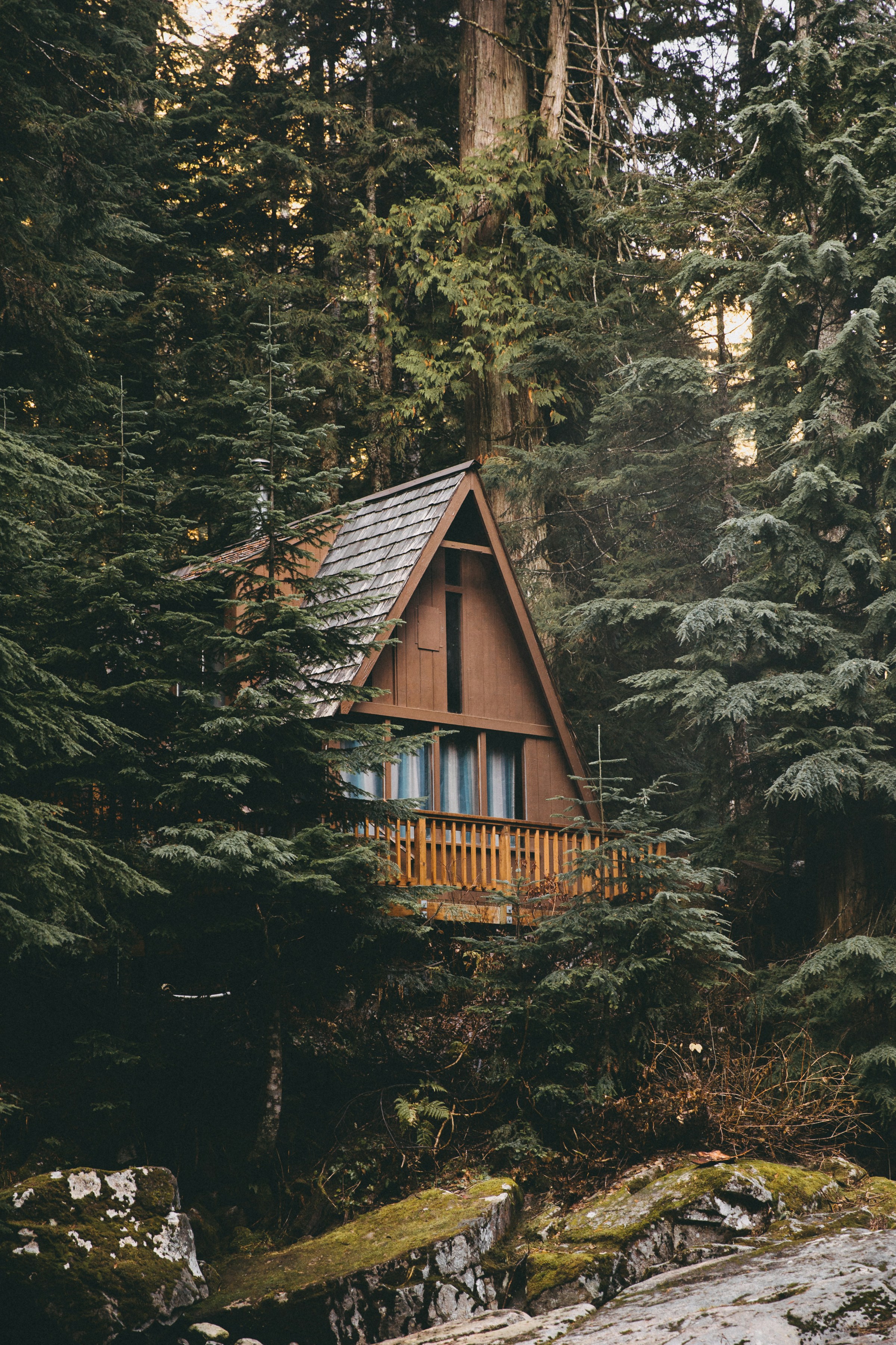 A cabin in the woods | Source: Unsplash