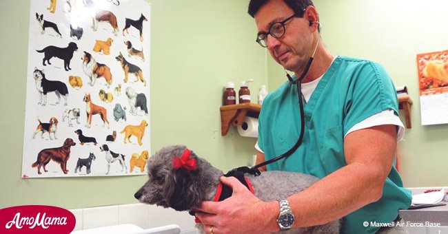 These dog owners get the surprise of their lives when visiting the vet