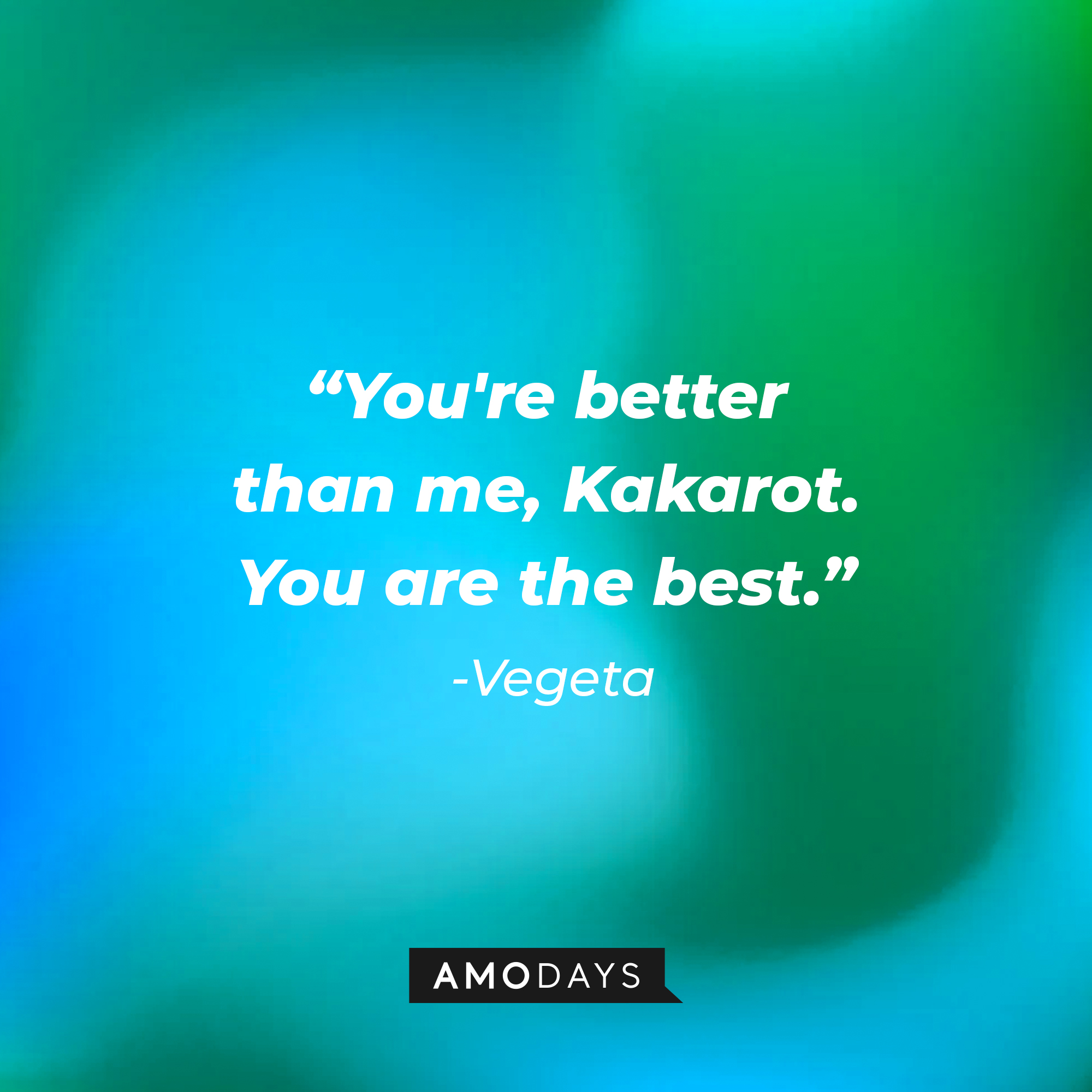 Vegeta’s quote: "You're better than me, Kakarot. You are the best." | Source: AmoDays