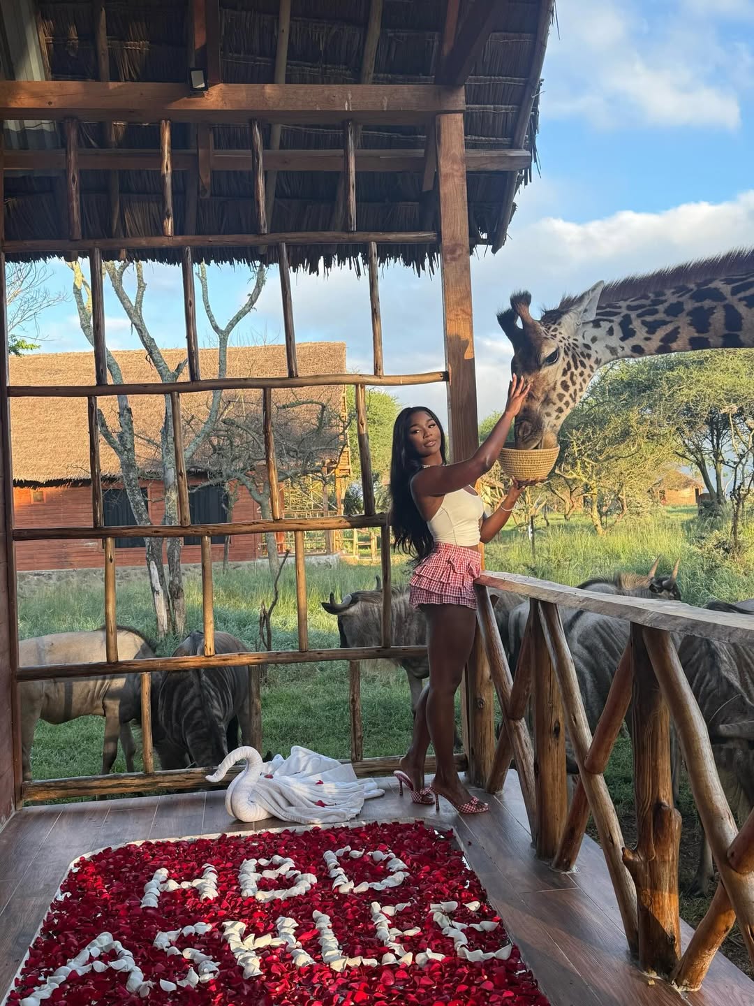 Ashlee Jenae feeds a giraffe as seen in her birthday post dated April 5, 2026 | Source: Instagram/ashleejenae