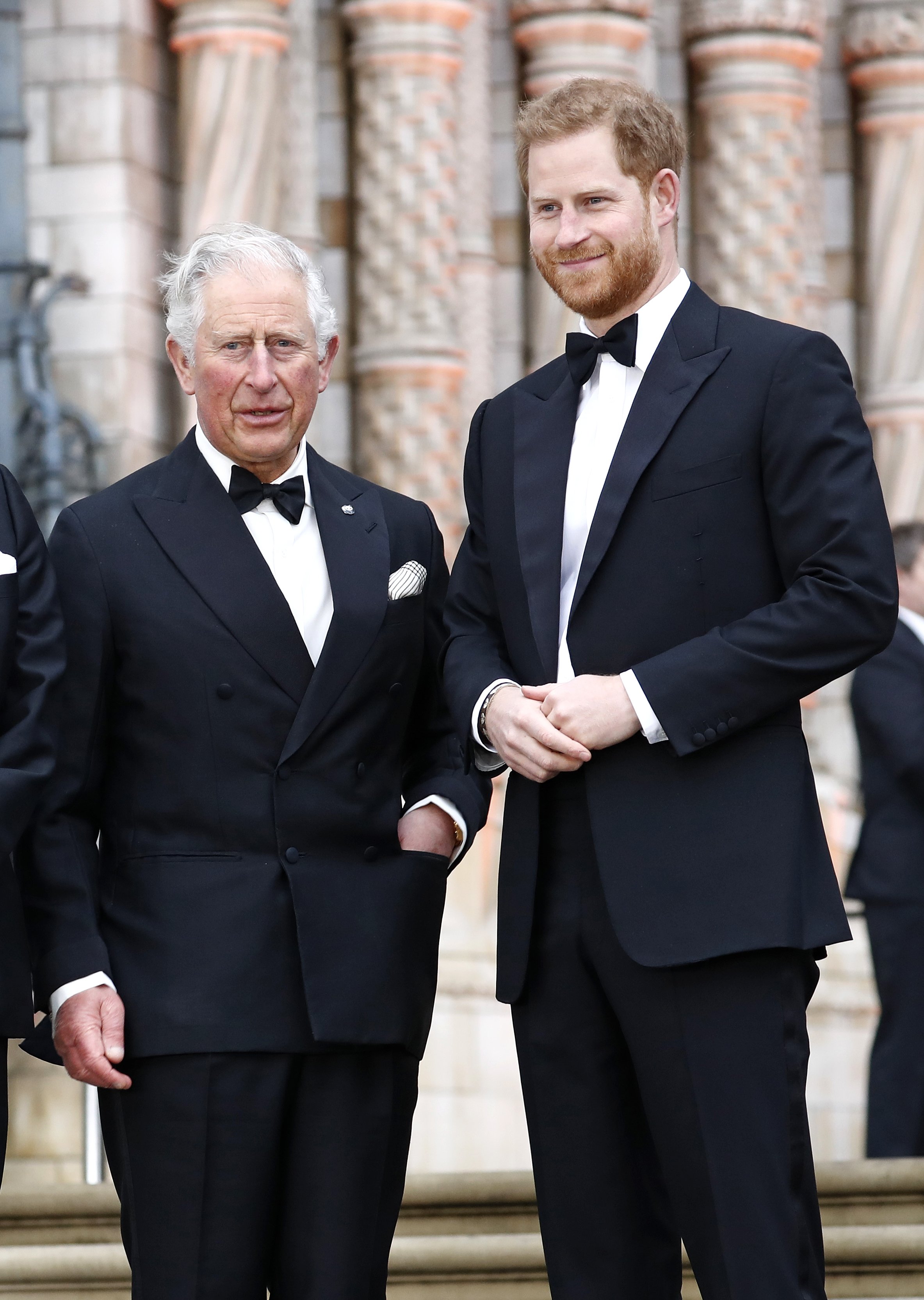 Prince Charles and Prince Harry attend the "Our Planet" global premiere at the Natural History Museum on April 04, 2019 in London, England | Photo: Getty Images