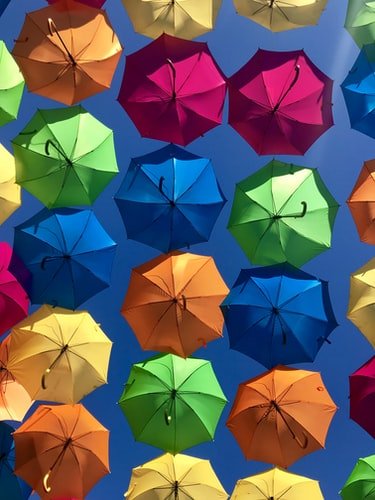 Des parapluies de différente couleur. | Photo : Getty Images