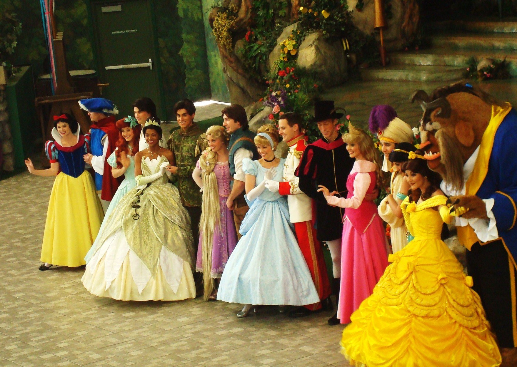 Disney Princesses at Disney World | Source: Wikimedia Commons / mydisneyadventures, Disneyland 2012-02-14 Princess and Princesses a, CC BY 2.0