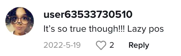 A screenshot of a comment about the viral TikTok video posted on May 19, 2022 | Source: TikTok.com/@fiestascondjnova