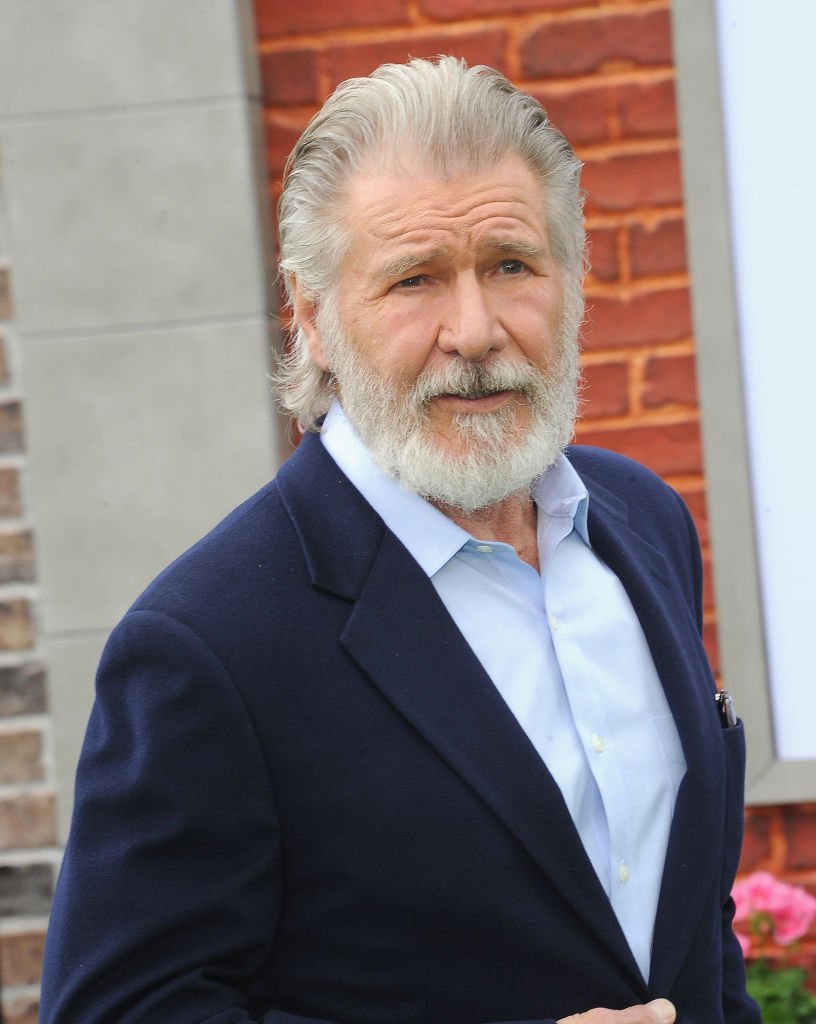Harrison Ford asiste al estreno de "The Secret Life Of Pets 2" de Universal Pictures, celebrado en el teatro Regency Village Theatre. | Foto: Getty Images