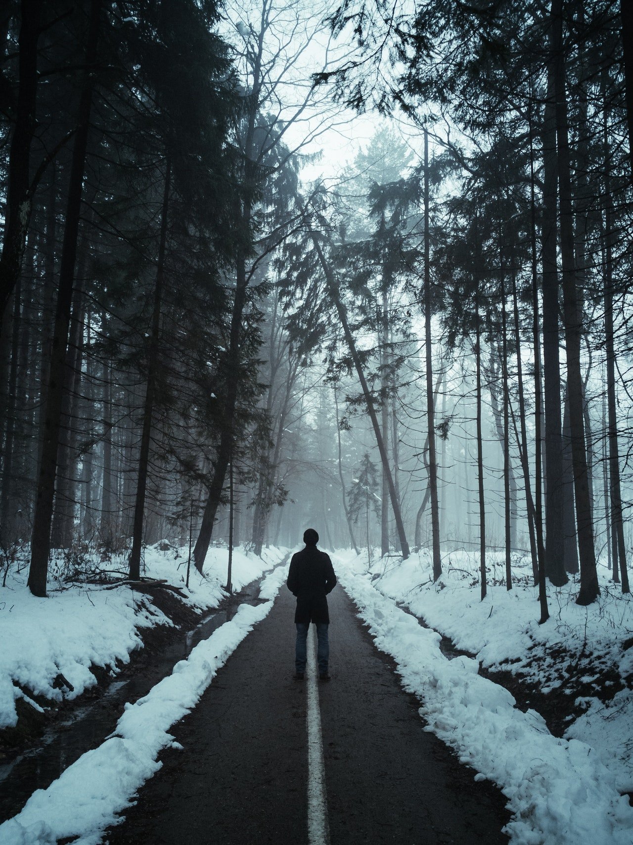 Photo of a man standing in the woods during winter | Photo: Pexels