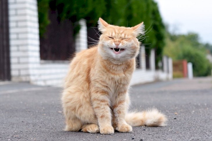 Source : Shutterstock