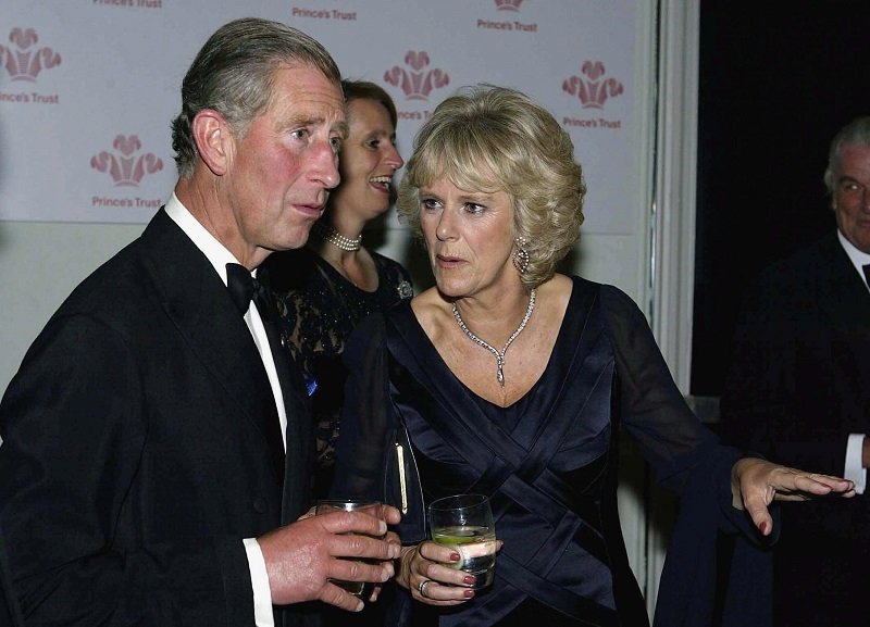 Camilla Tried to Break up William’s Relationship with ‘Pretty’ Yet ‘Dim ...