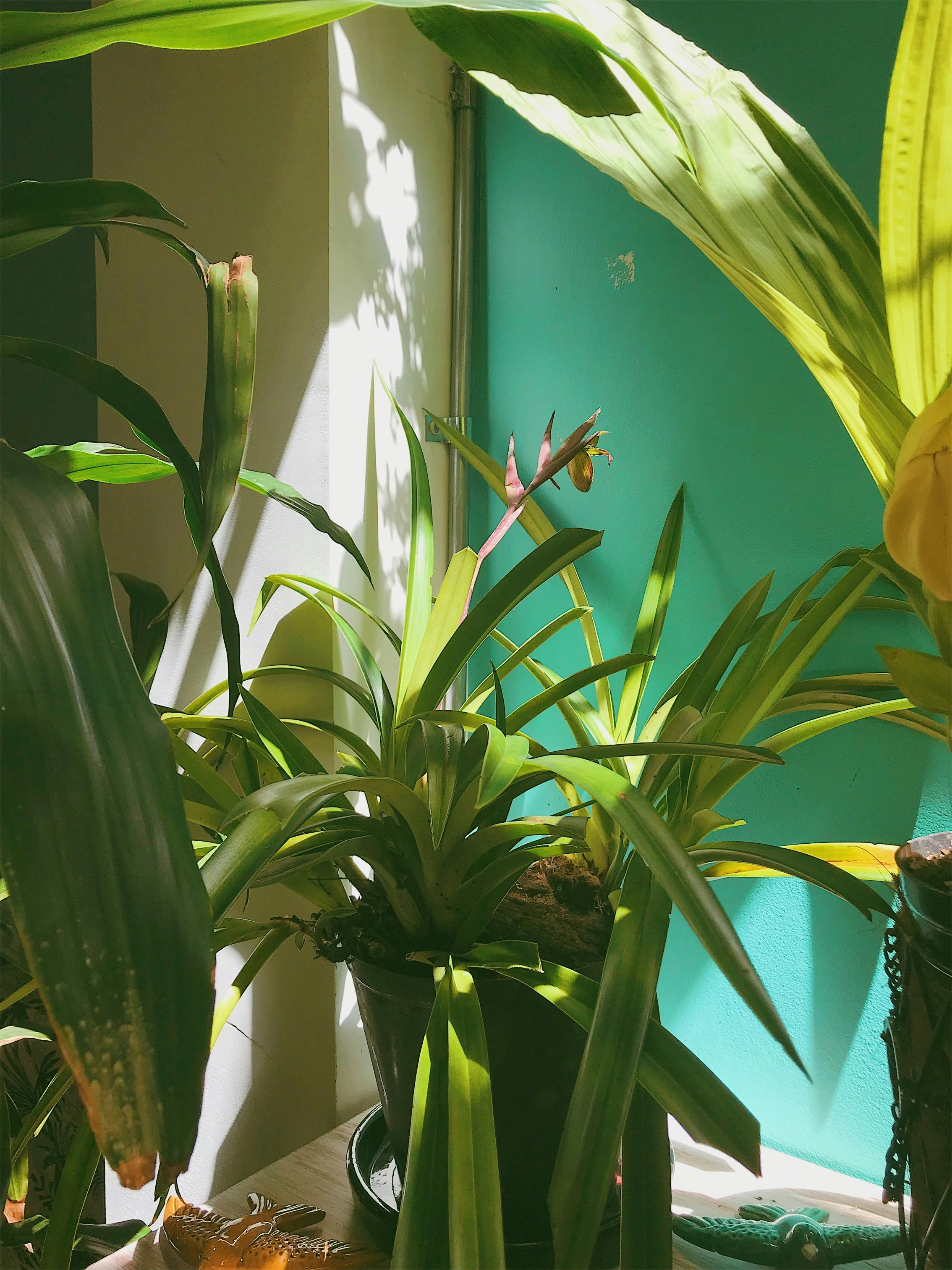 A vibrant flower display outside the door of a house | Source: Pexels