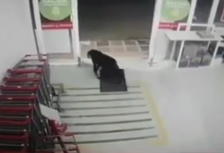 Perrito se desinfecta las patas antes de salir. | Foto: Captura de YouTube/Revista Semana