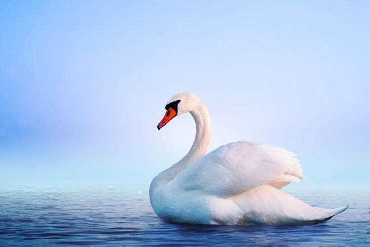 Imagen tomada de: Shutterstock Imagen tomada de: Shutterstock