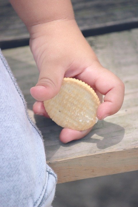 A child holding a biscuit. | Pixabay