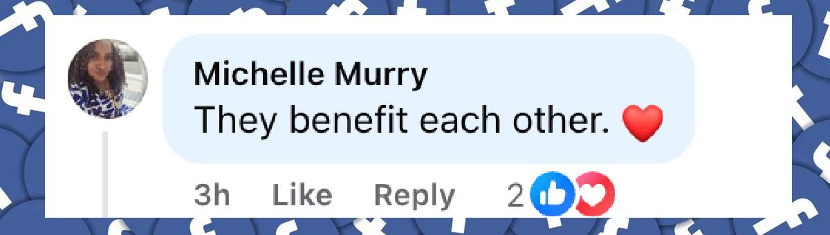 A netizen's comment on Dennis Quaid and his wife, Laura Savoie, dated July 29, 2025 | Source: Facebook/DailyMai