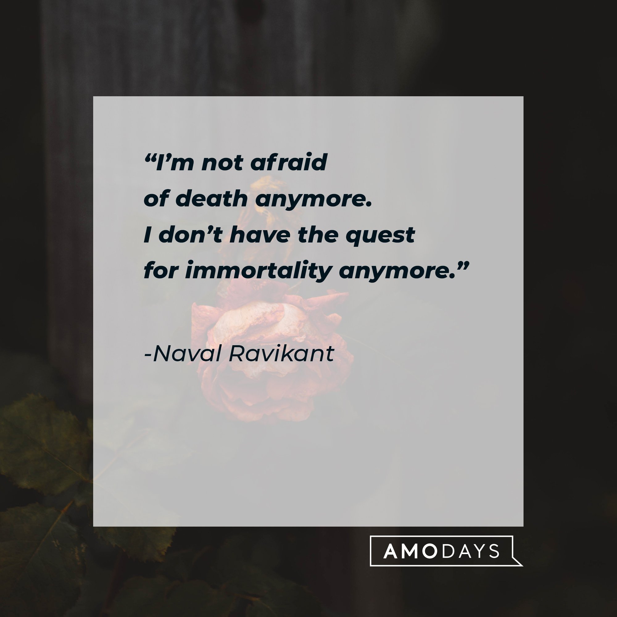 Naval Ravikant's quote: "I’m not afraid of death anymore. I don’t have the quest for immortality anymore." | Image: AmoDays