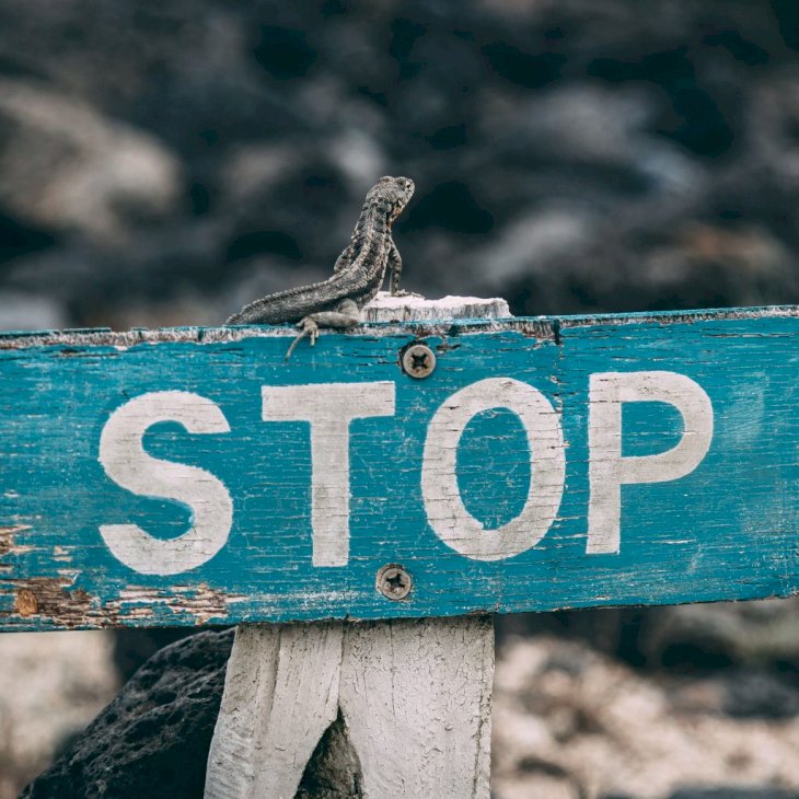 Photo by Jose Aragones on Unsplash