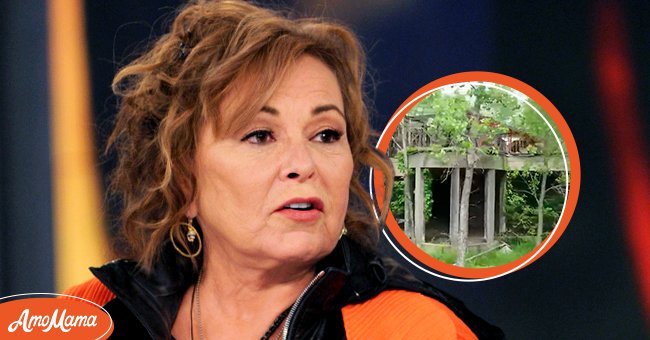 Roseanne Barr on "The View" on March 27, 2018, and her abandoned mansion in Eldon, Iowa, on May 31, 2018 | Photos: Paula Lobo/Disney General Entertainment Content/Getty Images & Youtube/KCCI