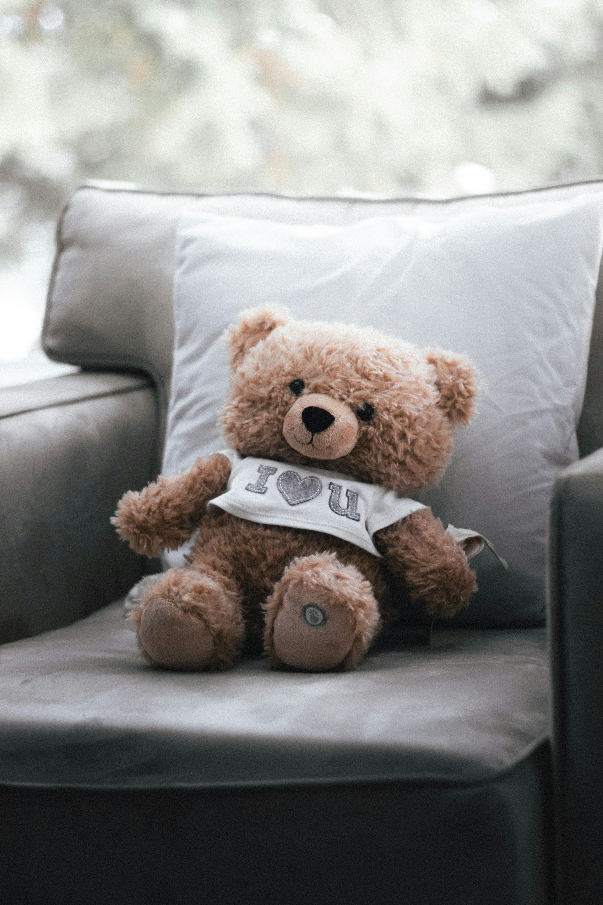 A cute teddy bear on the couch | Source: Unsplash