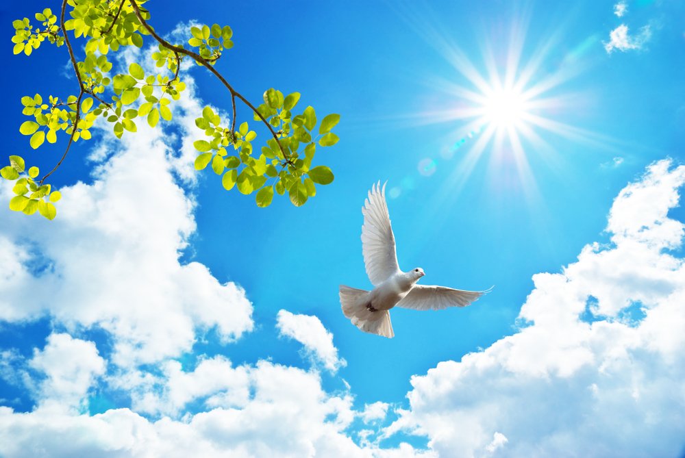 Un message du ciel. | Photo : Shutterstock