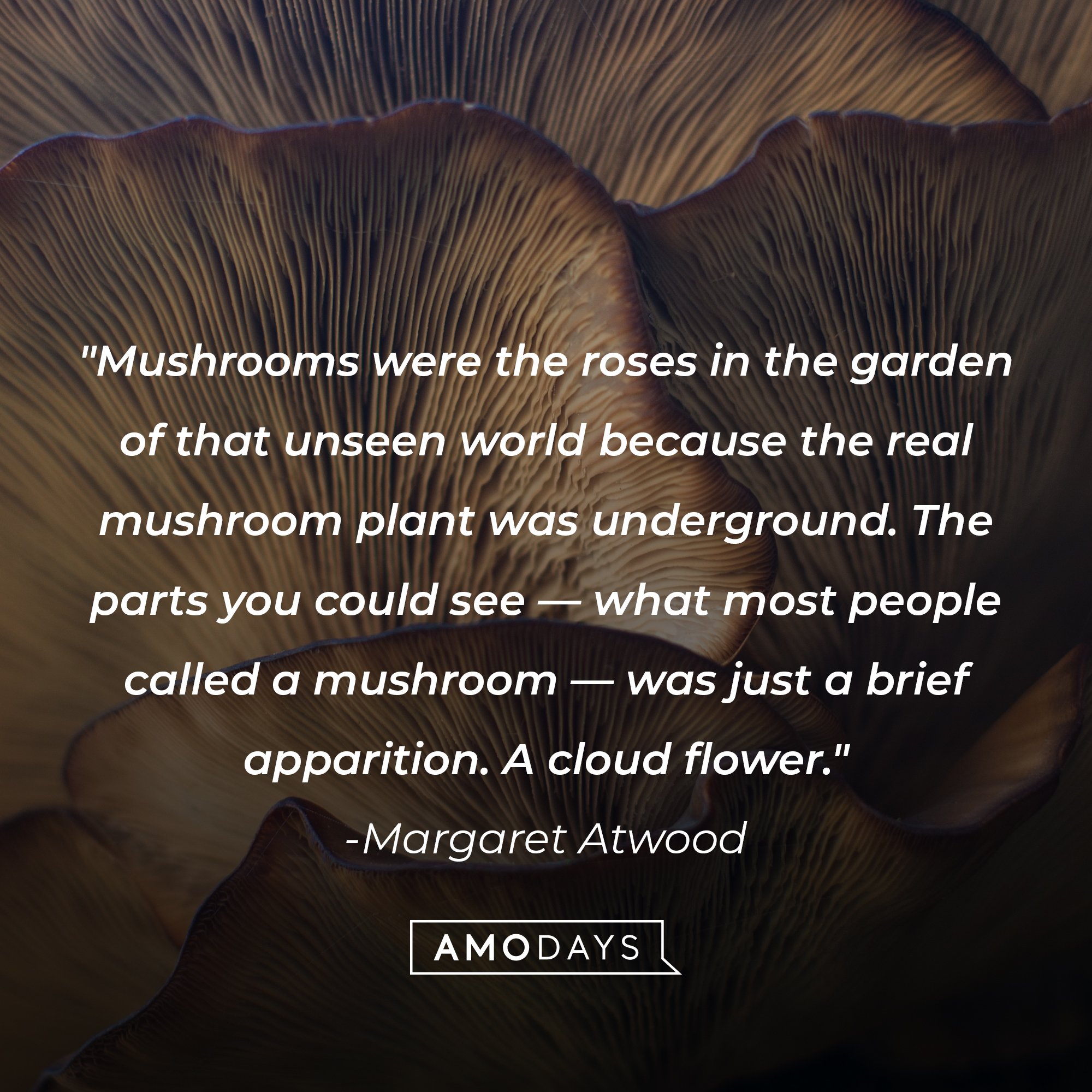  Margaret Atwood’s quote: "Mushrooms were the roses in the garden of that unseen world because the real mushroom plant was underground. The parts you could see —what most people called a mushroom —was just a brief apparition. A cloud flower." | Image: AmoDays