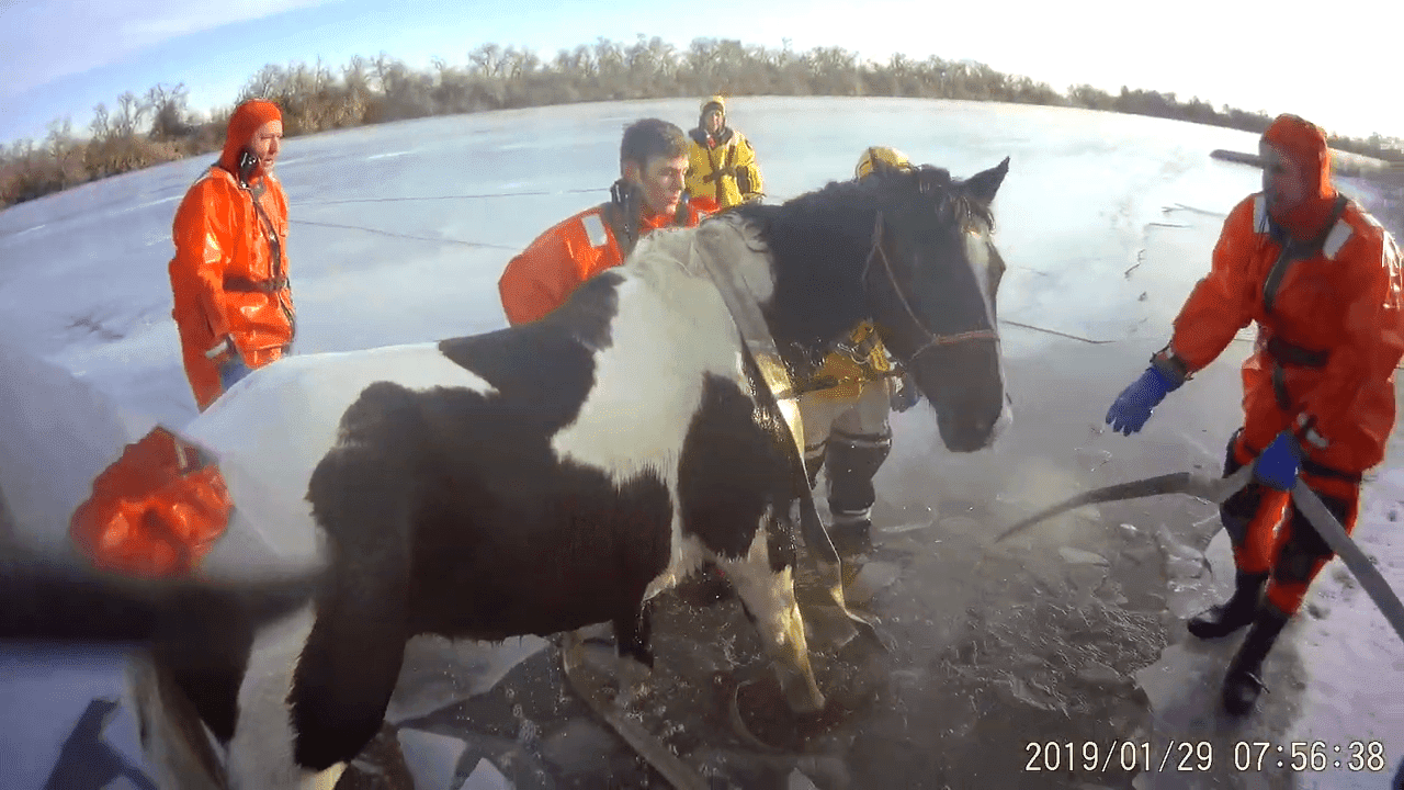 Fuente: YouTube/Loveland Fire Rescue Authority