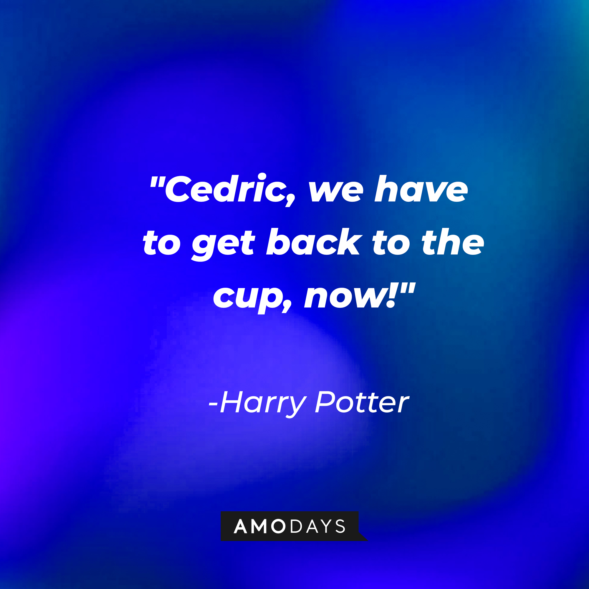 Harry Potter's quote: "Cedric, we have to get back up to the cup, now!" | Image: Amodays