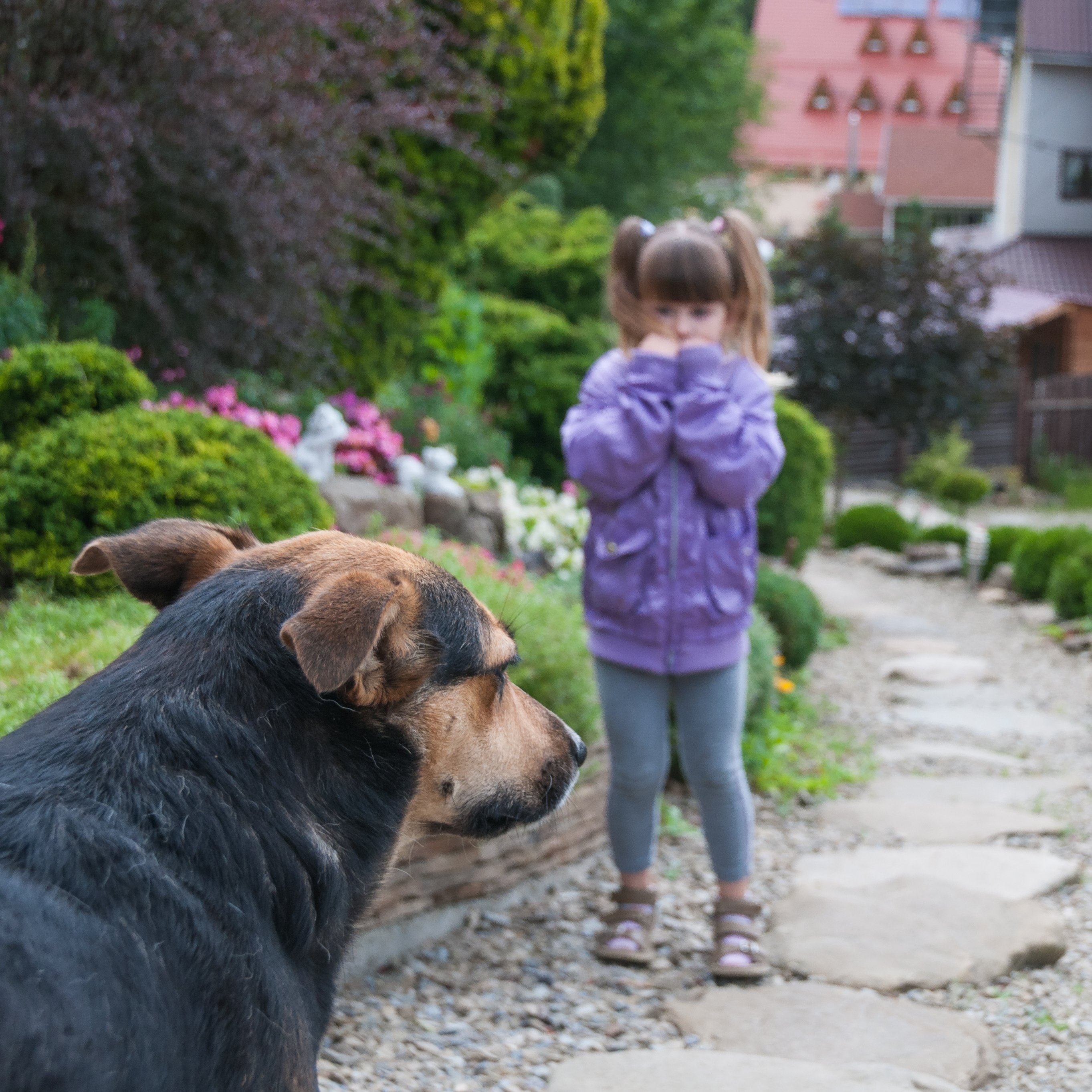 Niña asustada por un perro. | Foto: Shutterstock Niña asustada por un perro. | Foto: Shutterstock