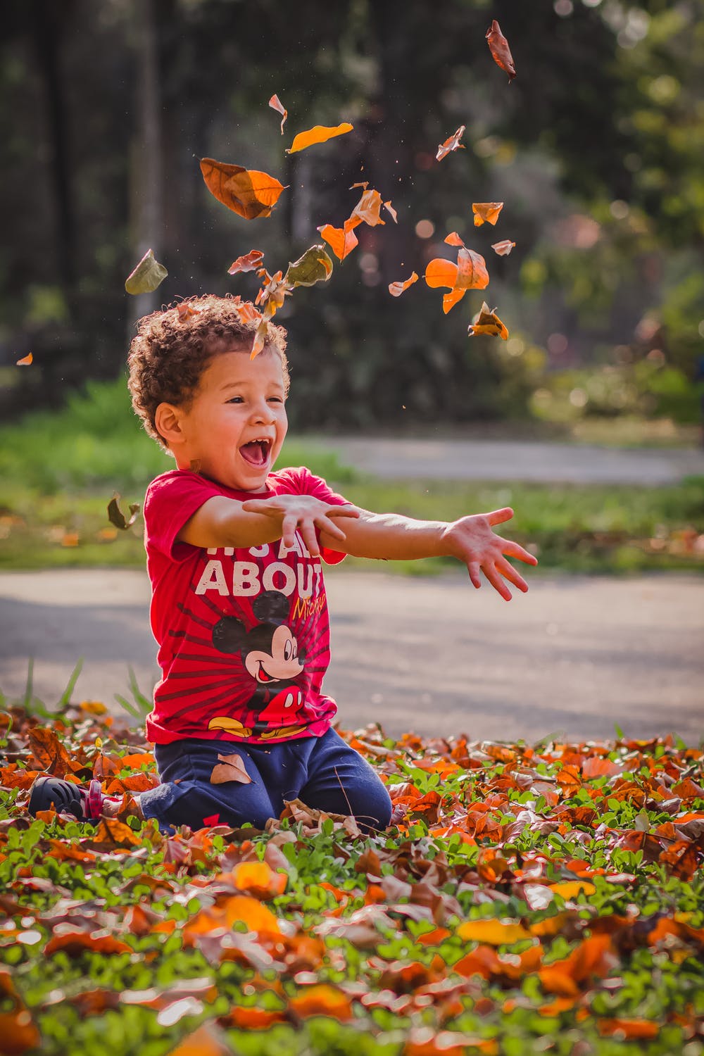Niño jugando con hojas secas. | Foto: Pexels