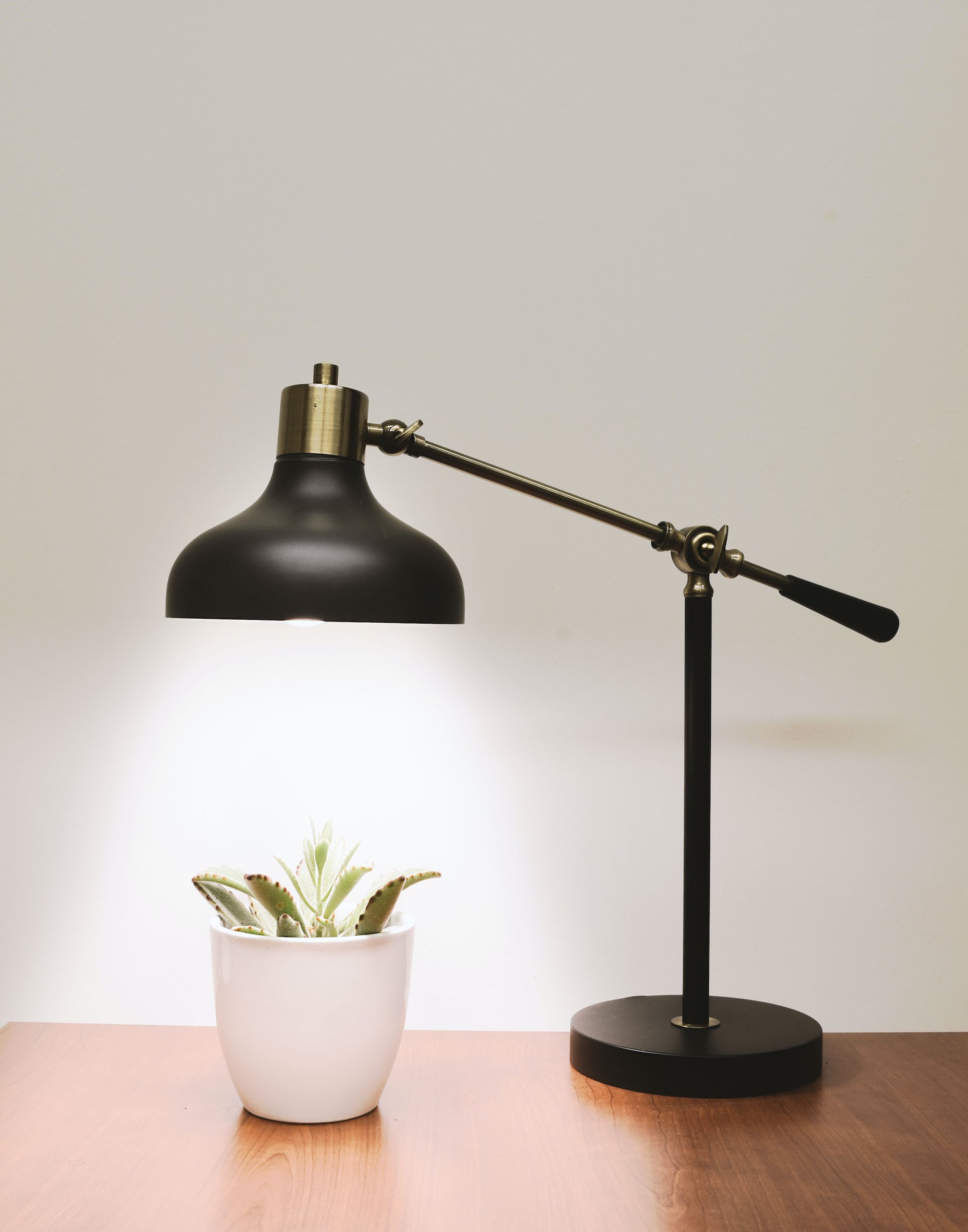 A table lamp with a mini plant | Source: Pexels