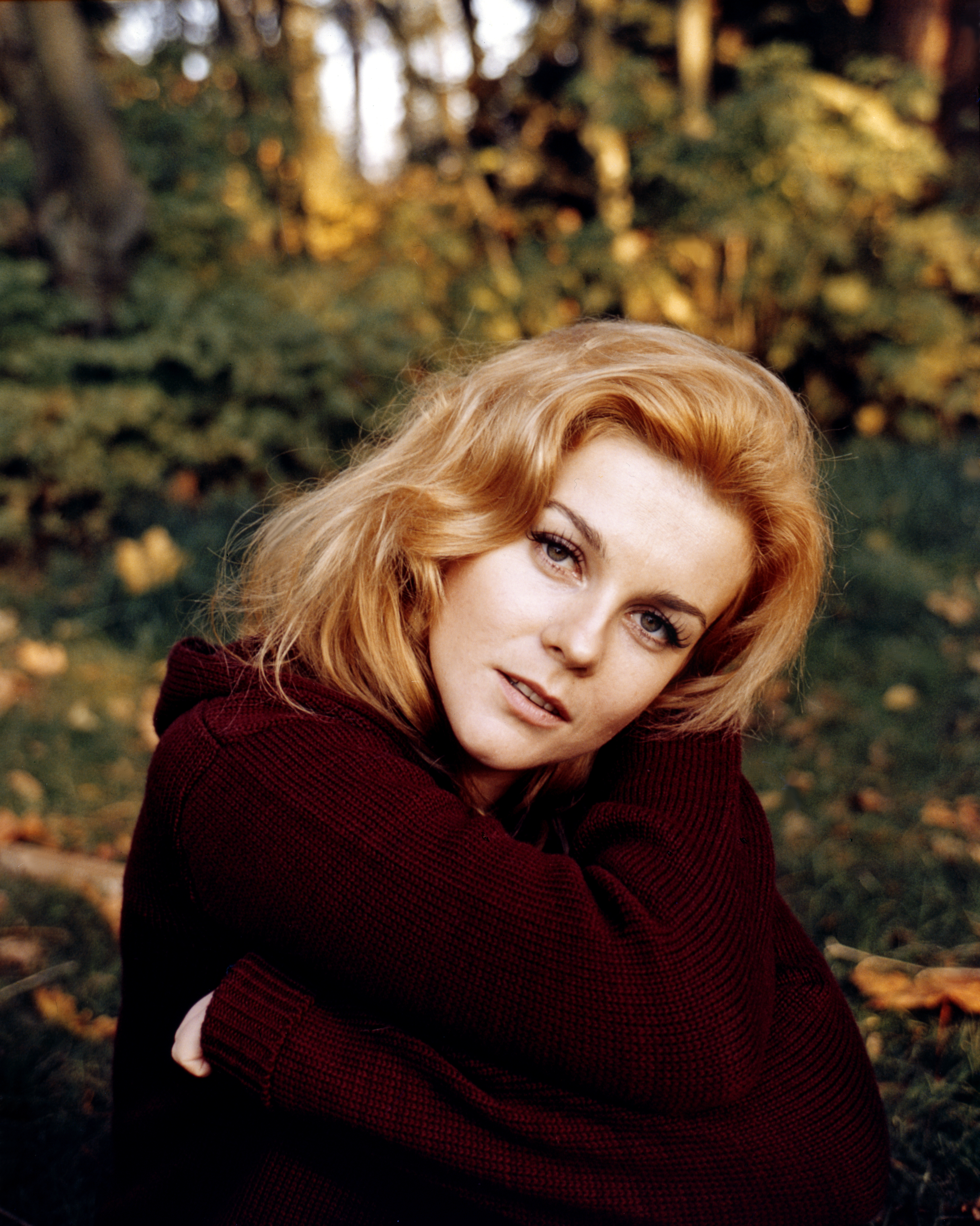 Ann-Margret photographed in 1971 | Source: Getty Images