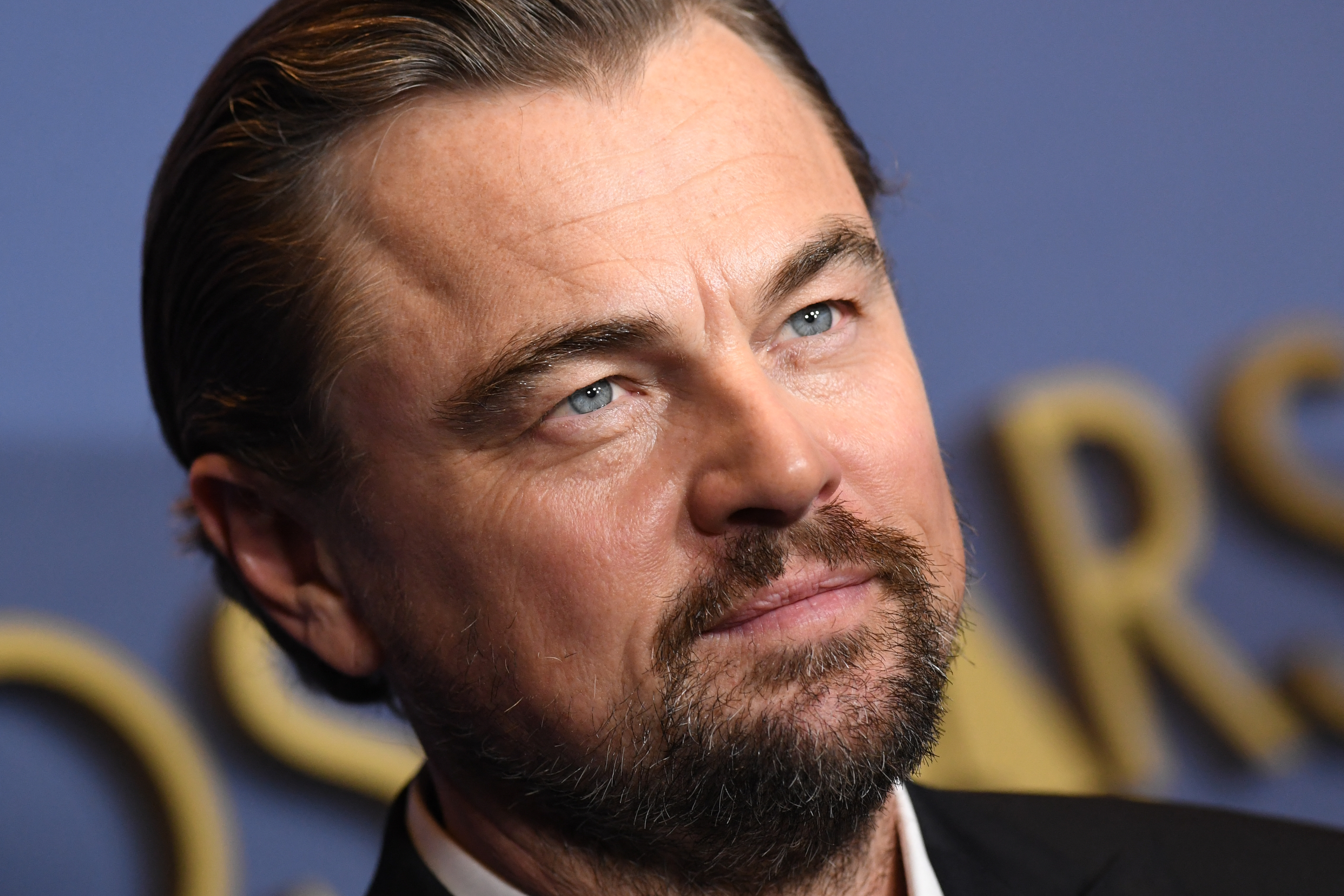 Leonardo DiCaprio, 2024 | Source: Getty Images