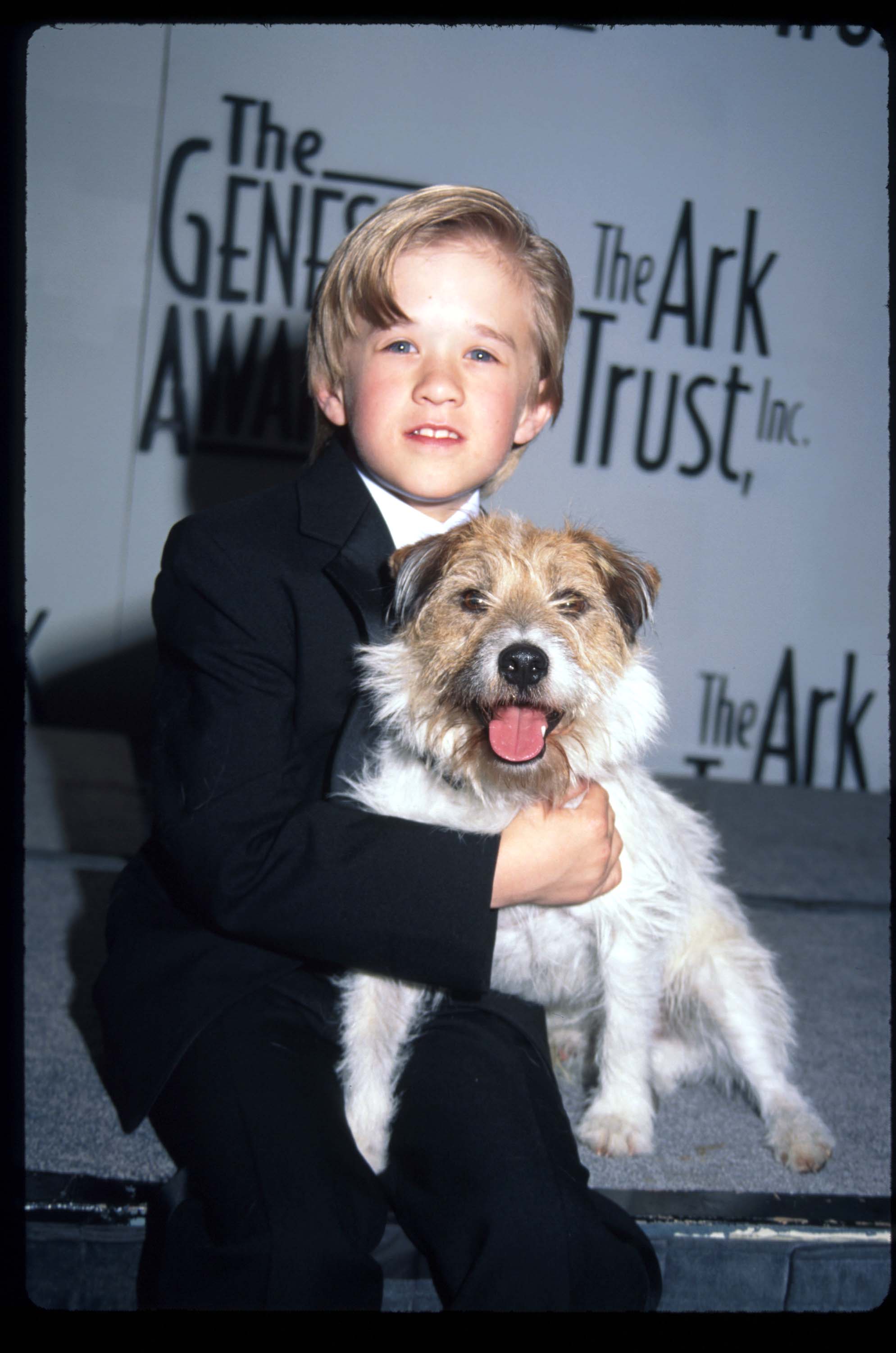 Haley Osment holds Sparky the dog at the Genesis Awards on April 5, 1997 in Los Angeles, California. | Source: Getty Images