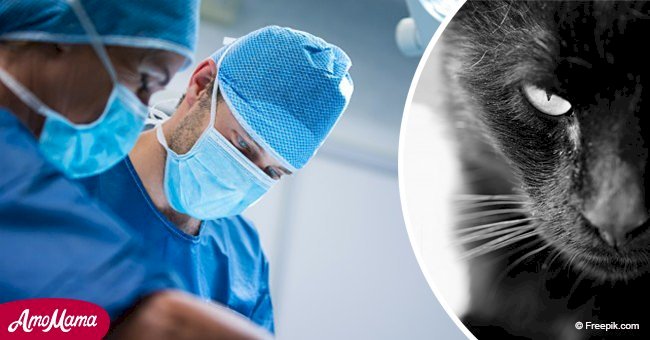 Father-of-two dies after catching rabies from a cat