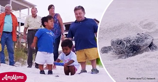 Video of 'The Little Couple' kids playing with sea turtles on family trip is pure joy