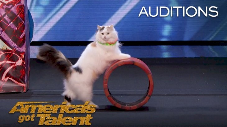 Fuente: YouTube/America's Got Talent Fuente: YouTube/America's Got Talent