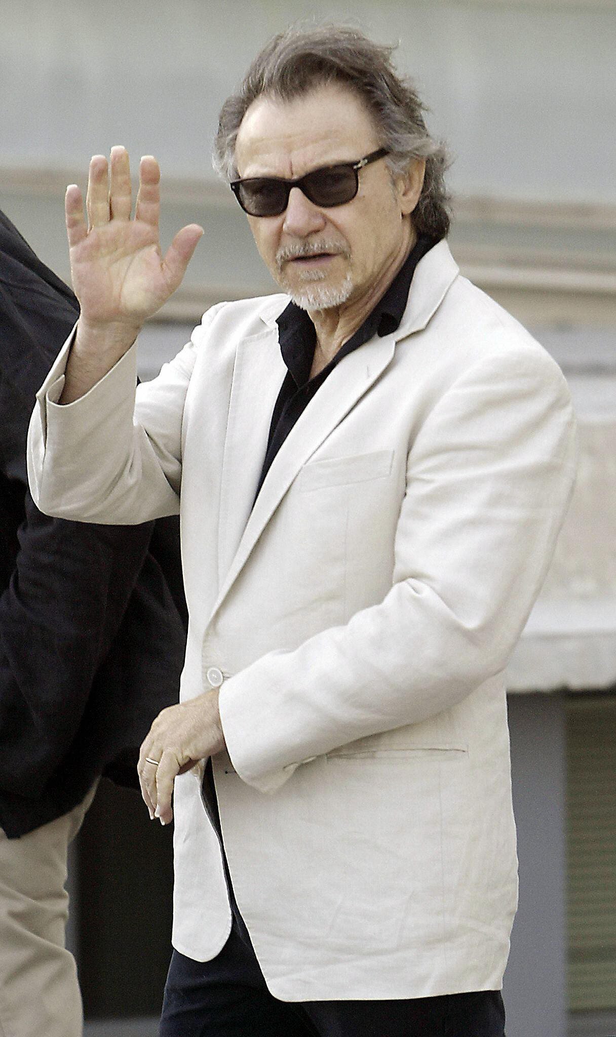 US actor Harvey Keitel poses for photographers, 20 September 2003, in the Spanish northern Basque city of San Sebastian, during the presentation of his film "El Misterio Galindez" | Source: Getty Images