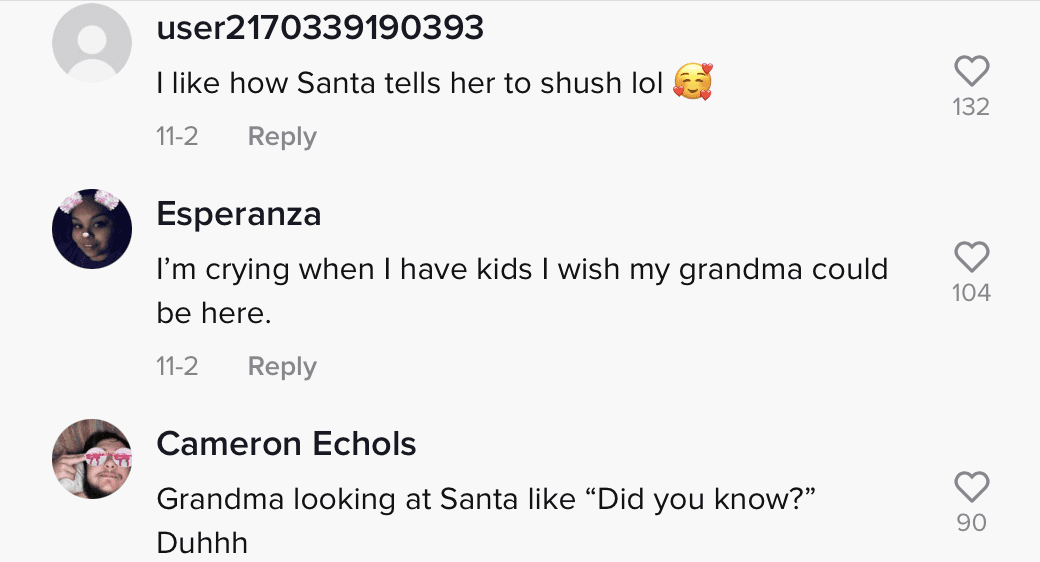 Netizens left heartwarming comments on TikTok mom's viral video showing her grandma's reaction. | Photo: tiktok.com/ashfadden