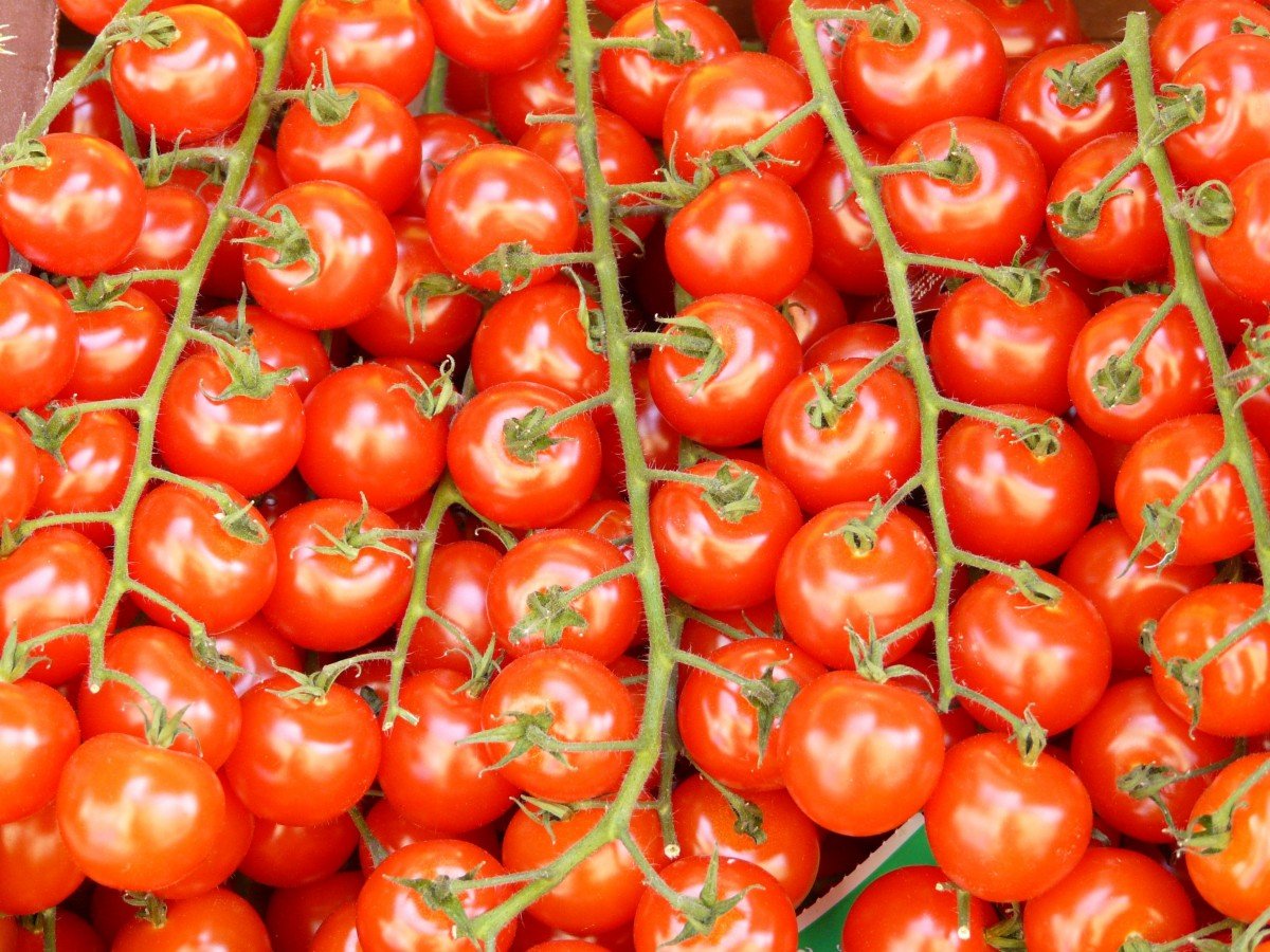 Tomates. | Imagen: PxHere