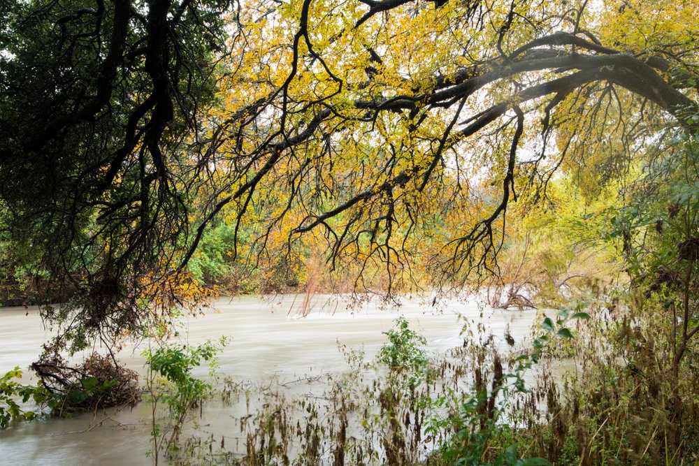 A photo of Shoal Creek in Austin, Texas | Photo: Shutterstock