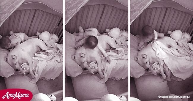 L'adorable vidéo d'une petite fille invitant un pitbull dans son lit après de terribles tremblements de terre