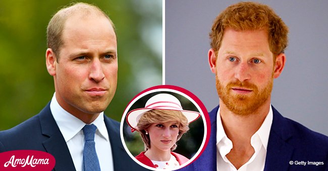 William Could Reportedly Have an Issue If Harry Attempts to Take ...