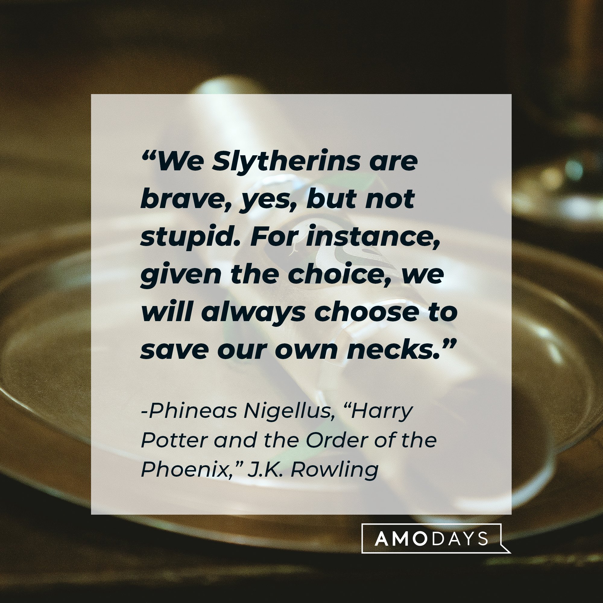 Phineas Nigellus’ quote from "Harry Potter and the Order of the Phoenix,":"We Slytherins are brave, yes, but not stupid. For instance, given the choice, we will always choose to save our own necks." | Image: AmoDays