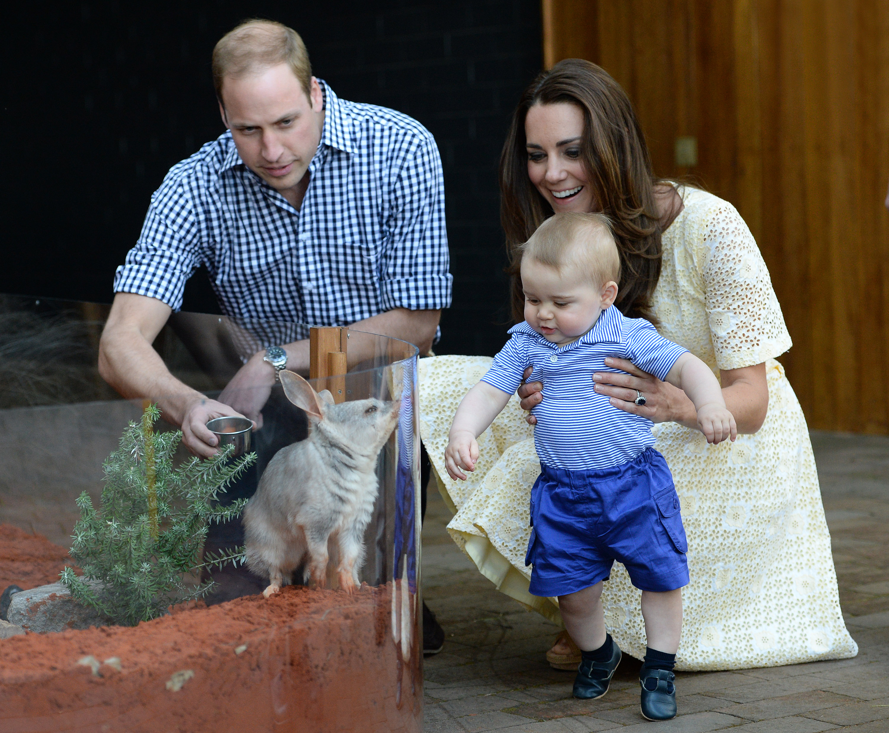 Prince William, Catherine, and Prince George meet a Bilby called George as they visit the Bilby Enclosure at Taronga Zoo on April 20, 2014 in Sydney, Australia | Source: Getty Images