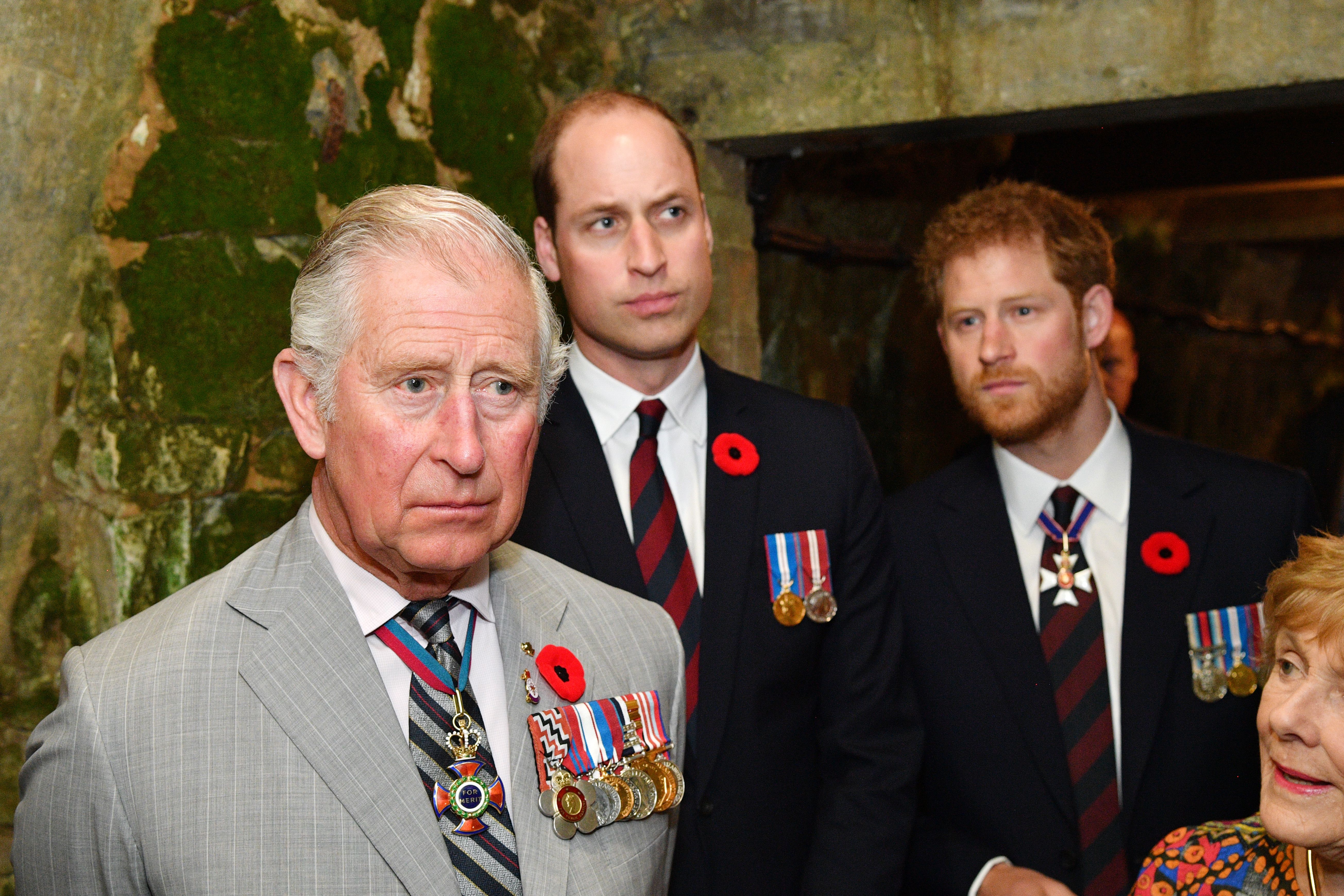 Prince Charles, Prince William and Prince Harry pictured at the tunnel and trenches at Vimy Memorial Park, 2009, Vimy, France. | Photo: Getty Images