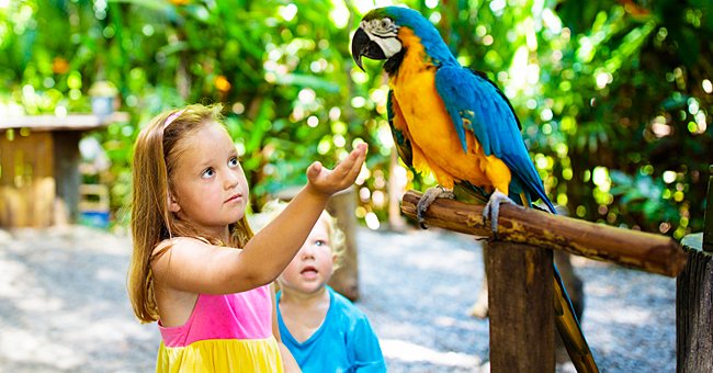 Two kids and a parrot at the zoo. | Photo: Shutterstock