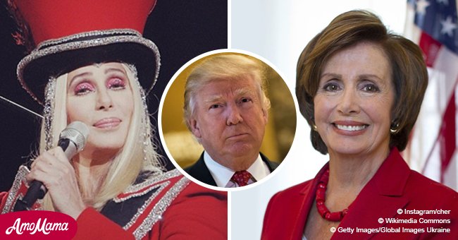 Cher begged her 'hero' Nancy Pelosi to let Trump have the money for the wall