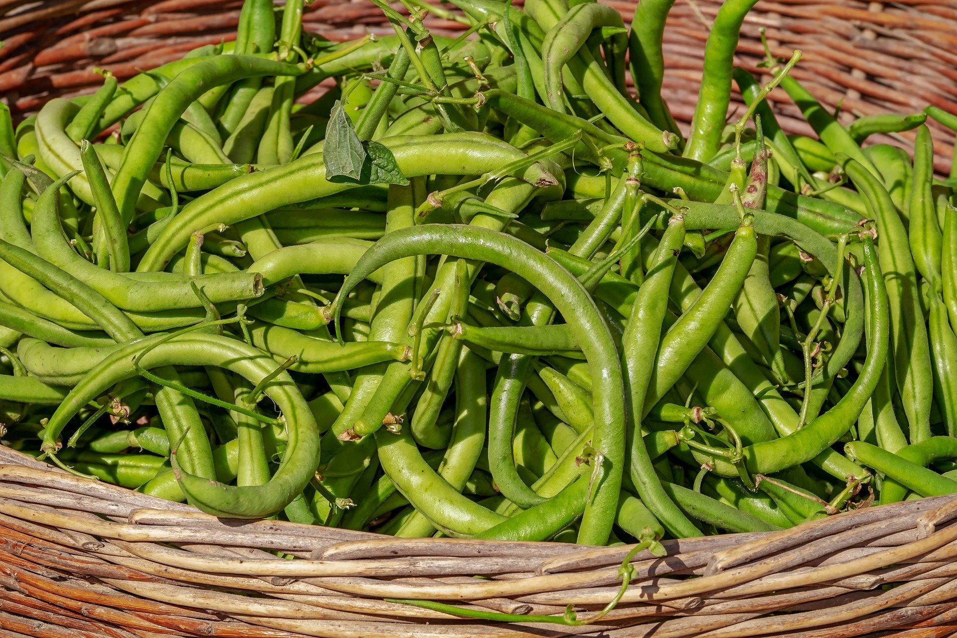 Frijoles en la vaina. Fuente: Pixabay