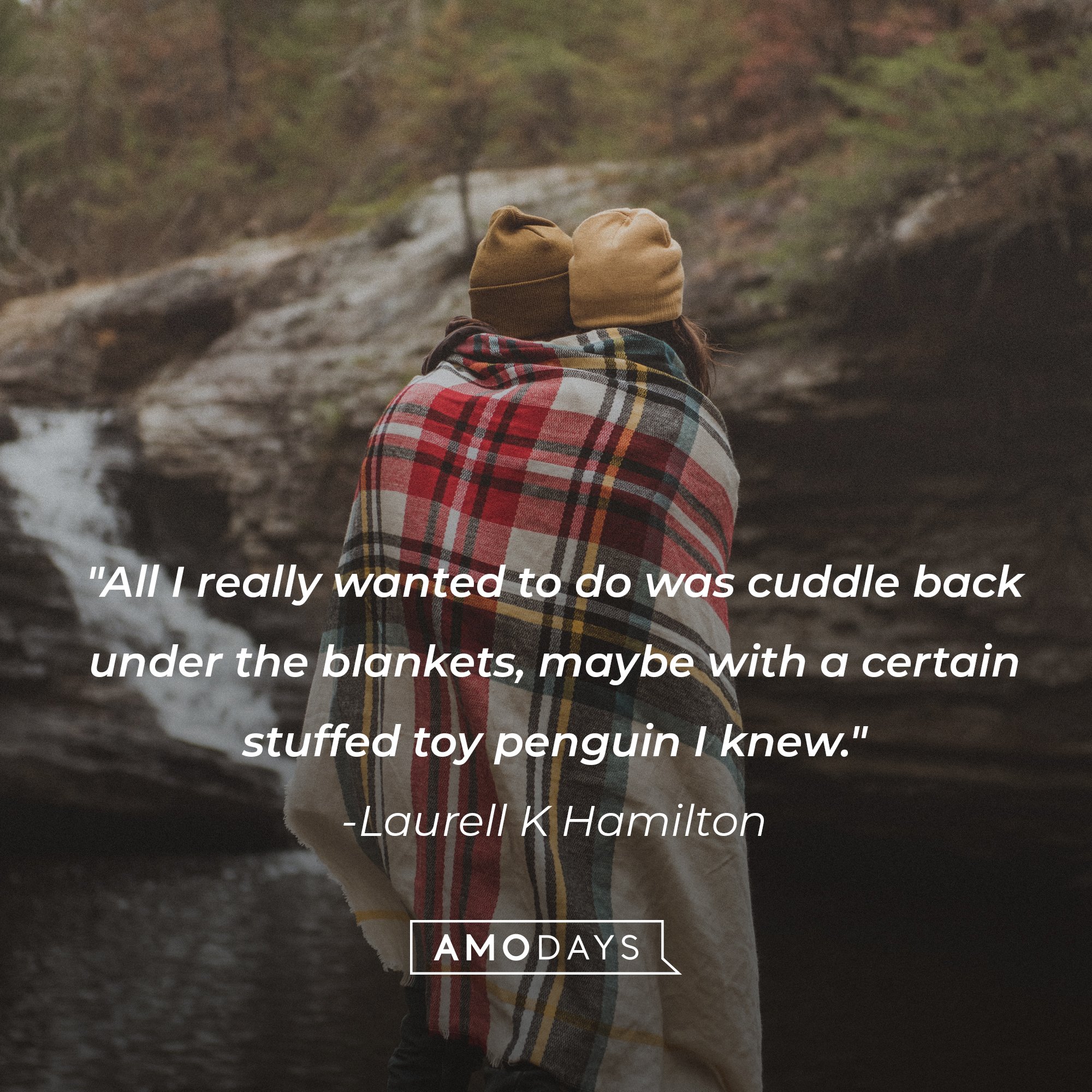 Laurell K Hamilton's quote: "All I really wanted to do was cuddle back under the blankets, maybe with a certain stuffed toy penguin I knew." | Image: AmoDays