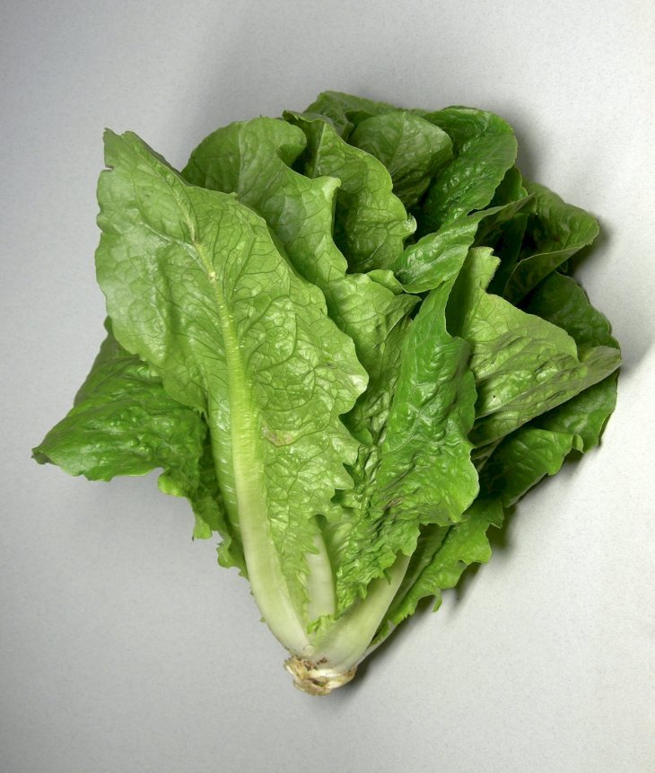 Source: Wikimedia